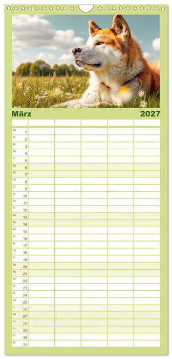 Akita Inu in der Natur. Japans edle und sanfte Schönheit (CALVENDO Familienplaner 2027)