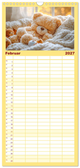 Teddy Babykalender - Jeden Monat zum Knuddeln süß (CALVENDO Familienplaner 2027)
