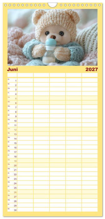 Teddy Babykalender - Jeden Monat zum Knuddeln süß (CALVENDO Familienplaner 2027)