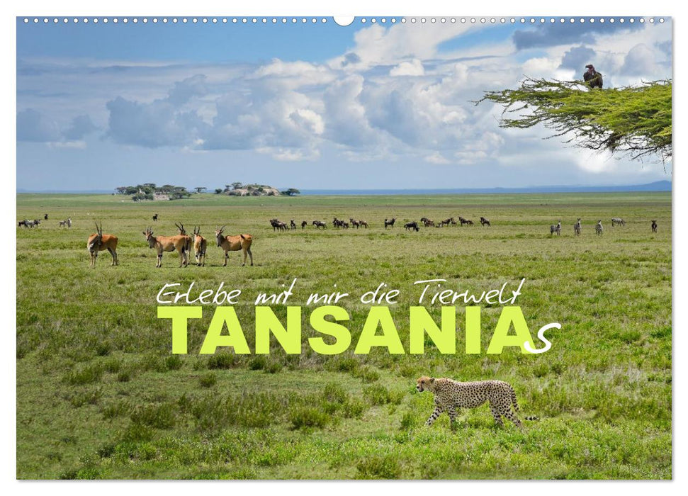 Erlebe mit mir die Tierwelt Tansanias (CALVENDO Wandkalender 2027)
