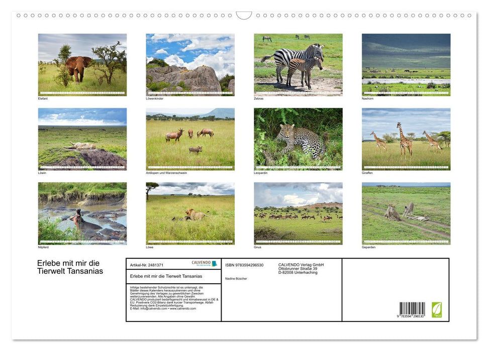 Erlebe mit mir die Tierwelt Tansanias (CALVENDO Wandkalender 2027)