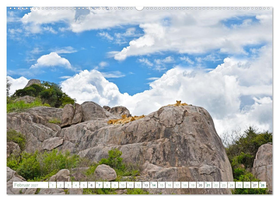 Erlebe mit mir die Tierwelt Tansanias (CALVENDO Wandkalender 2027)