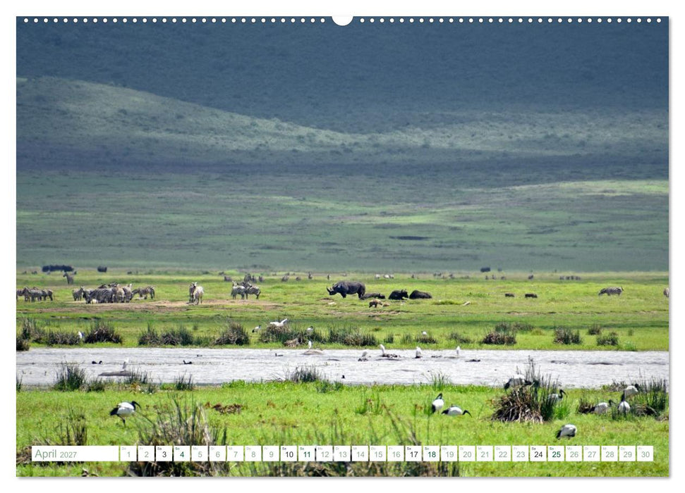 Erlebe mit mir die Tierwelt Tansanias (CALVENDO Wandkalender 2027)