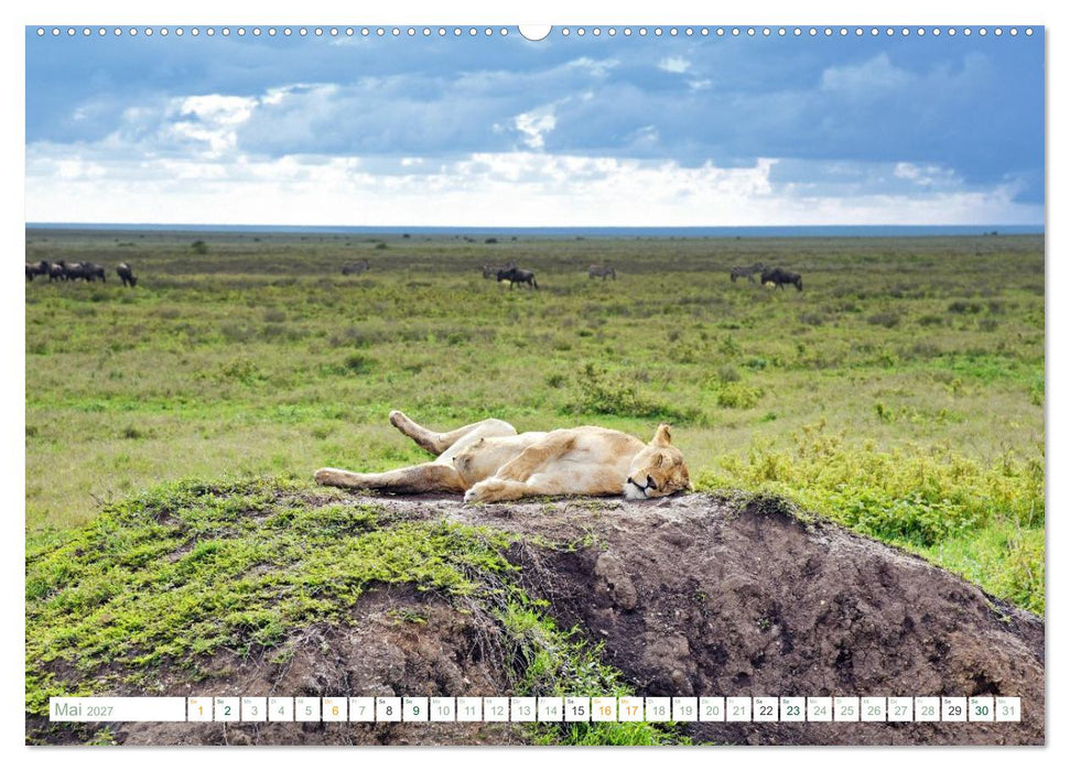 Erlebe mit mir die Tierwelt Tansanias (CALVENDO Wandkalender 2027)