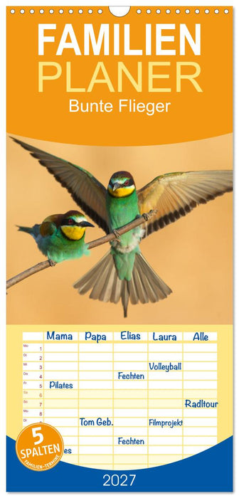 Bunte Flieger (CALVENDO Familienplaner 2027)