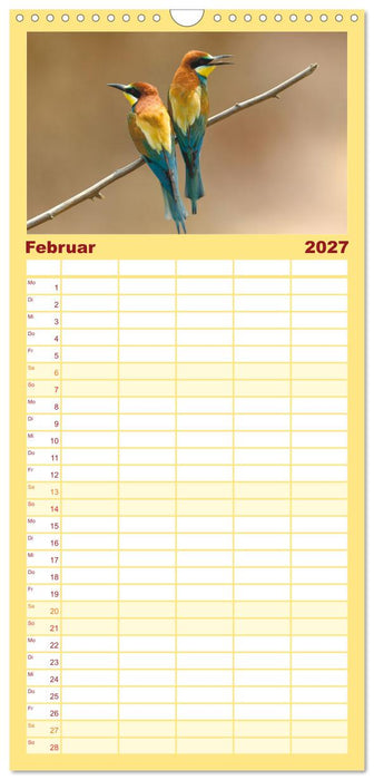Bunte Flieger (CALVENDO Familienplaner 2027)