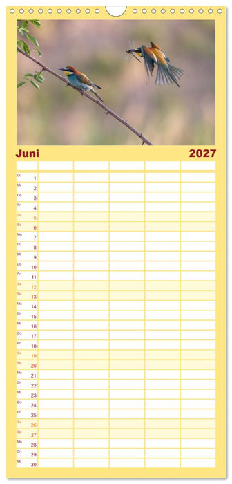 Bunte Flieger (CALVENDO Familienplaner 2027)