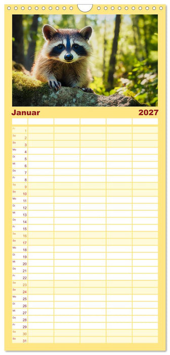 Frech, flauschig, fantastisch - Der Waschbären-Kalender (CALVENDO Familienplaner 2027)