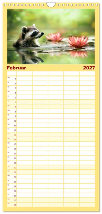 Frech, flauschig, fantastisch - Der Waschbären-Kalender (CALVENDO Familienplaner 2027)