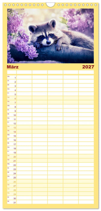 Frech, flauschig, fantastisch - Der Waschbären-Kalender (CALVENDO Familienplaner 2027)