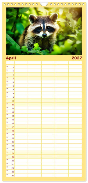 Frech, flauschig, fantastisch - Der Waschbären-Kalender (CALVENDO Familienplaner 2027)