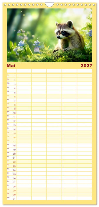 Frech, flauschig, fantastisch - Der Waschbären-Kalender (CALVENDO Familienplaner 2027)