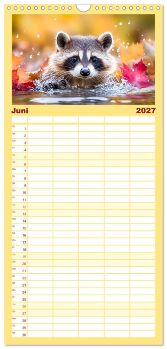 Frech, flauschig, fantastisch - Der Waschbären-Kalender (CALVENDO Familienplaner 2027)
