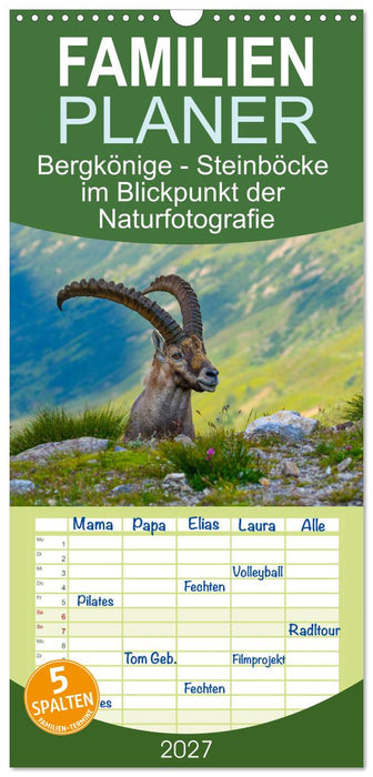Bergkönige - Steinböcke im Blickpunkt der Naturfotografie (CALVENDO Familienplaner 2027)
