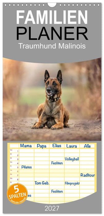 Traumhund Malinois (CALVENDO Familienplaner 2027)