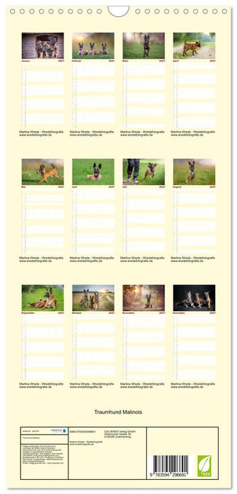 Traumhund Malinois (CALVENDO Familienplaner 2027)