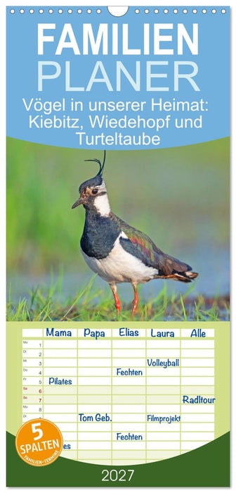Vögel in unserer Heimat: Kiebitz, Wiedehopf und Turteltaube (CALVENDO Familienplaner 2027)