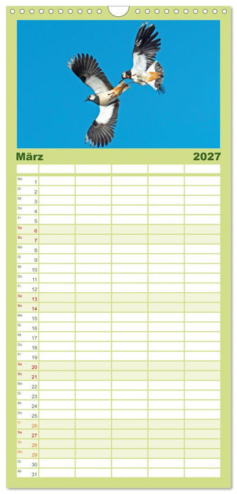 Vögel in unserer Heimat: Kiebitz, Wiedehopf und Turteltaube (CALVENDO Familienplaner 2027)