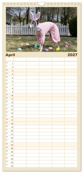 Funny Greyhounds - Windhunde mal anders (CALVENDO Familienplaner 2027)