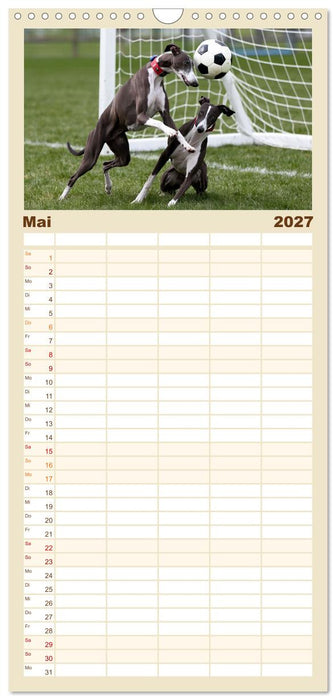 Funny Greyhounds - Windhunde mal anders (CALVENDO Familienplaner 2027)