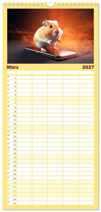 Endlich erfolgreich geschieden (CALVENDO Familienplaner 2027)
