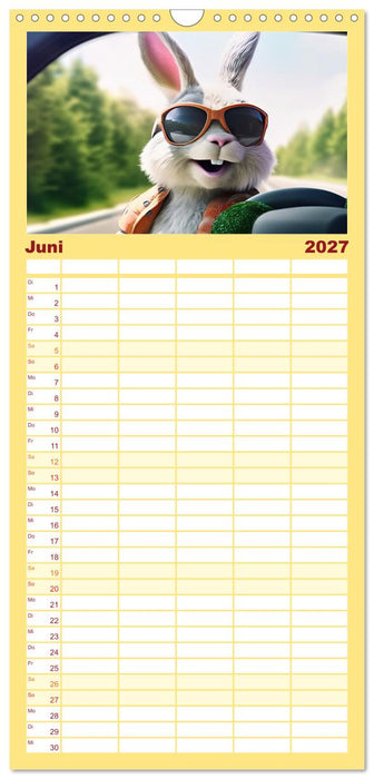 Endlich erfolgreich geschieden (CALVENDO Familienplaner 2027)