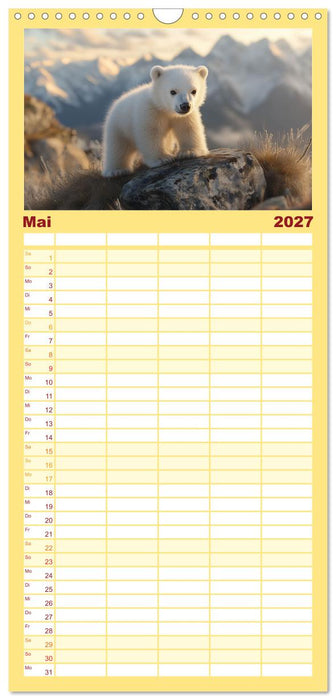 Kleiner Eisbär und die große Welt (CALVENDO Familienplaner 2027)