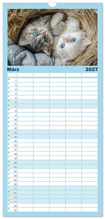 Katzen Illustrationen - Faszination pur (CALVENDO Familienplaner 2027)