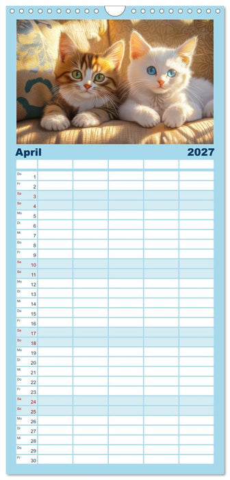 Katzen Illustrationen - Faszination pur (CALVENDO Familienplaner 2027)