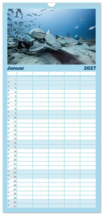 Haie - Vorsicht gefährlich! (CALVENDO Familienplaner 2027)