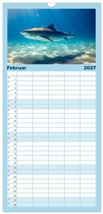 Haie - Vorsicht gefährlich! (CALVENDO Familienplaner 2027)