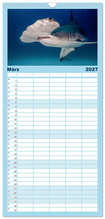 Haie - Vorsicht gefährlich! (CALVENDO Familienplaner 2027)