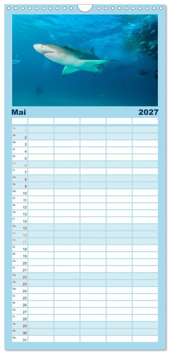 Haie - Vorsicht gefährlich! (CALVENDO Familienplaner 2027)