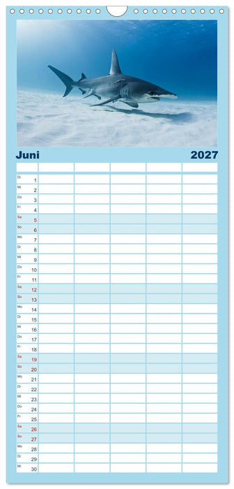 Haie - Vorsicht gefährlich! (CALVENDO Familienplaner 2027)