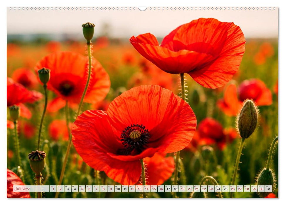 Mohnblütenmelodie (CALVENDO Premium Wandkalender 2027)