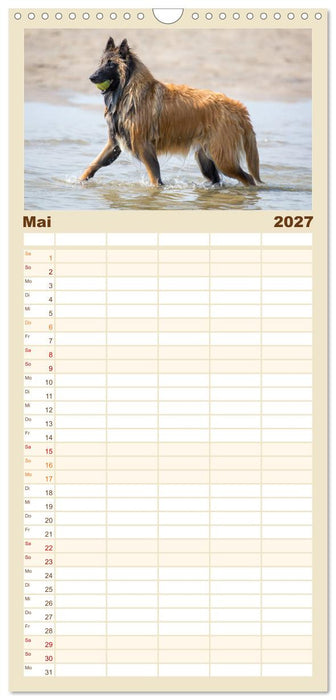 Freunde auf vier Pfoten am Strand (CALVENDO Familienplaner 2027)