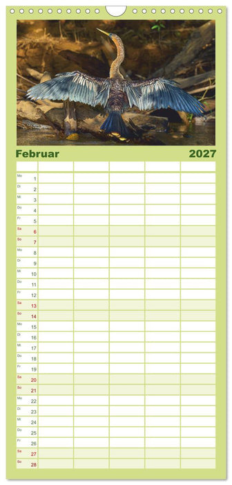 Costa Ricas gefiederte Pracht (CALVENDO Familienplaner 2027)