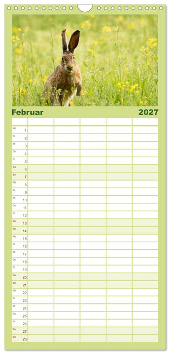 Feldhasen unterwegs in Wald und Flur (CALVENDO Familienplaner 2027)