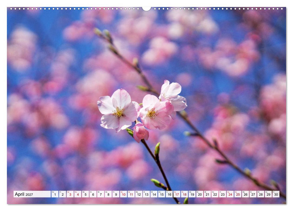 Japan im Frühling (CALVENDO Wandkalender 2027)