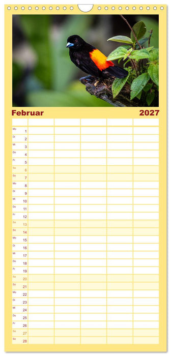 Phantastische Vogelwelt Costa Rica (CALVENDO Familienplaner 2027)
