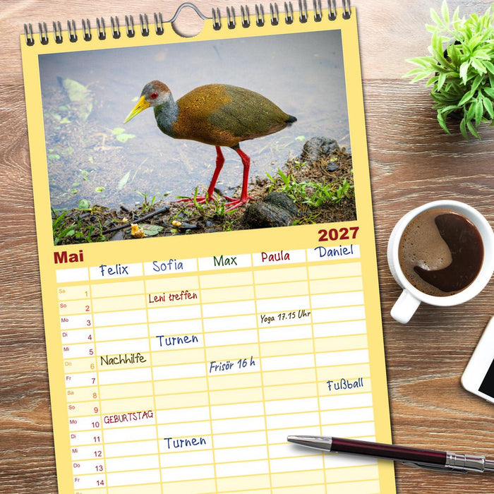 Phantastische Vogelwelt Costa Rica (CALVENDO Familienplaner 2027)