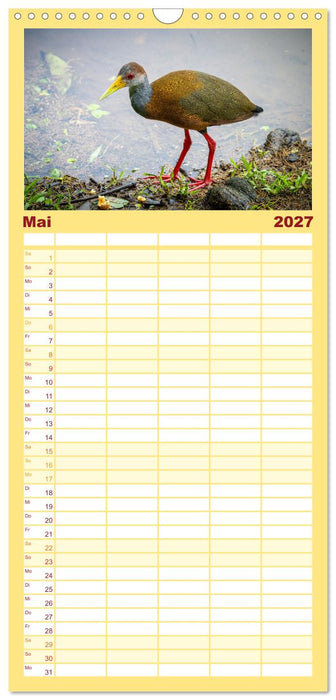 Phantastische Vogelwelt Costa Rica (CALVENDO Familienplaner 2027)