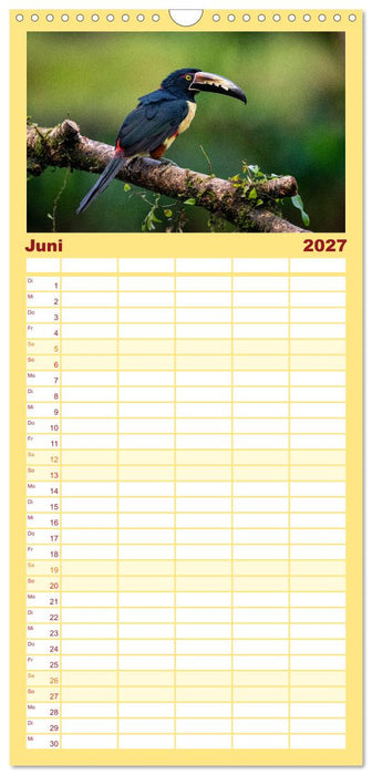 Phantastische Vogelwelt Costa Rica (CALVENDO Familienplaner 2027)