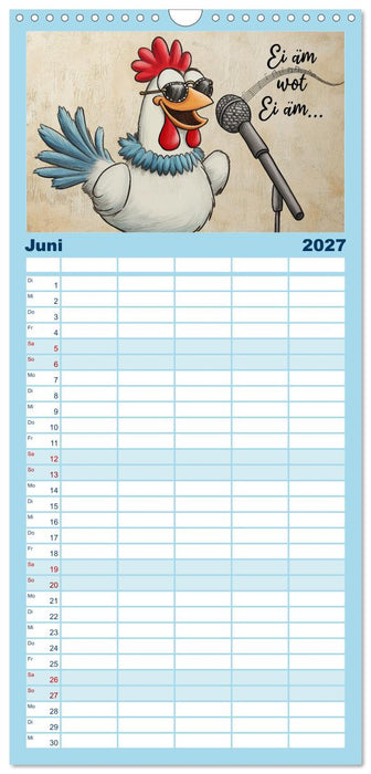 Verrücktes Hühnervolk (CALVENDO Familienplaner 2027)