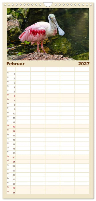 Zauberhaft und farbenfroh (CALVENDO Familienplaner 2027)