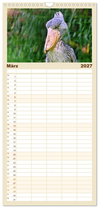 Zauberhaft und farbenfroh (CALVENDO Familienplaner 2027)