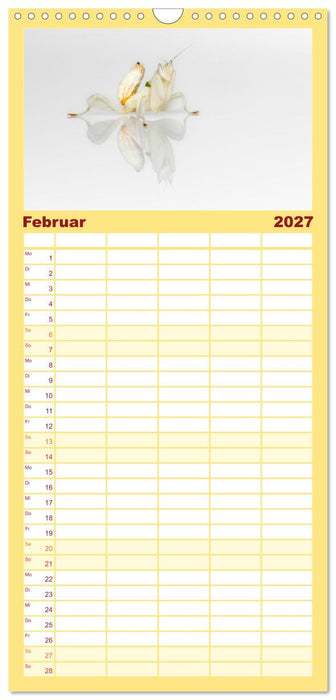 Im Bann der Mantis (CALVENDO Familienplaner 2027)