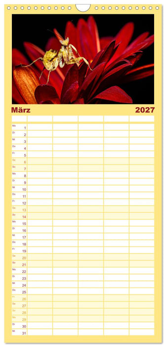 Im Bann der Mantis (CALVENDO Familienplaner 2027)