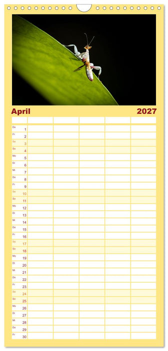 Im Bann der Mantis (CALVENDO Familienplaner 2027)