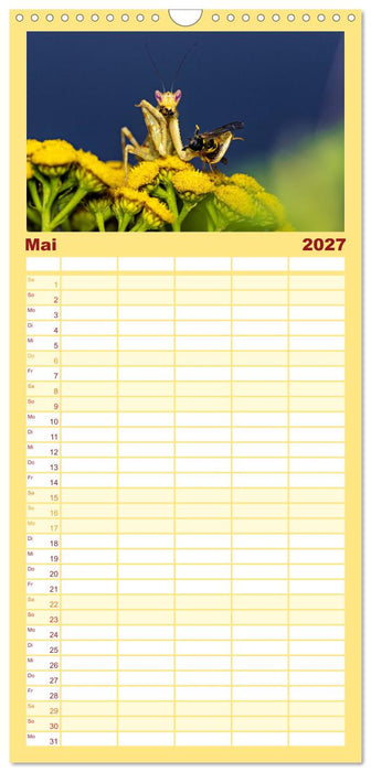 Im Bann der Mantis (CALVENDO Familienplaner 2027)